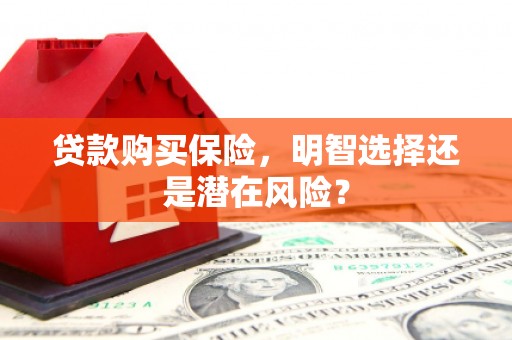 中卫贷款购买保险，明智选择还是潜在风险？