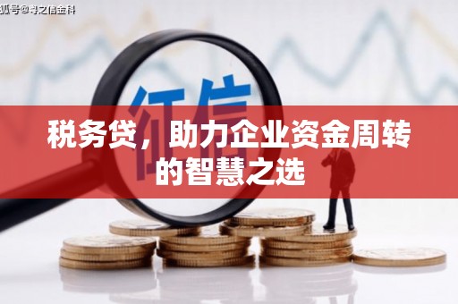 正阳税务贷，助力企业资金周转的智慧之选