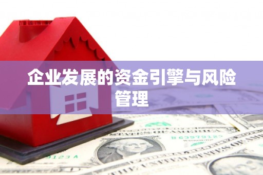 新埤企业发展的资金引擎与风险管理
