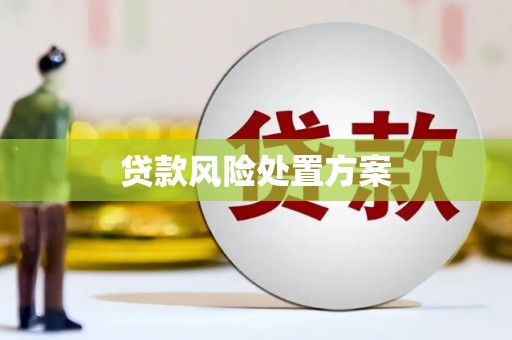 忻府贷款风险处置方案