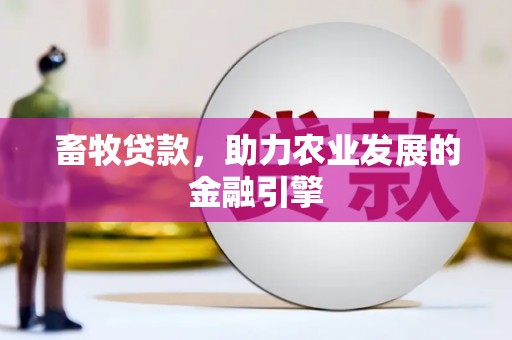 学甲畜牧贷款，助力农业发展的金融引擎