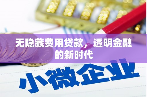 清远无隐藏费用贷款，透明金融的新时代
