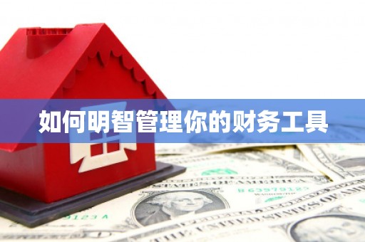 木兰如何明智管理你的财务工具