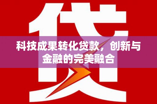 阜康科技成果转化贷款，创新与金融的完美融合