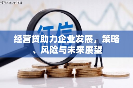 东乡族经营贷助力企业发展，策略、风险与未来展望