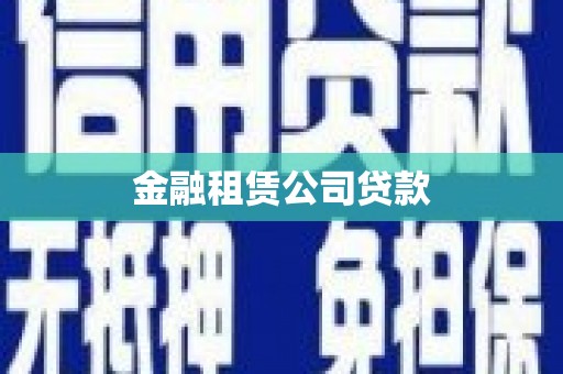 乐东金融租赁公司贷款