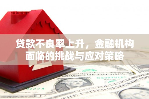 民丰贷款不良率上升，金融机构面临的挑战与应对策略