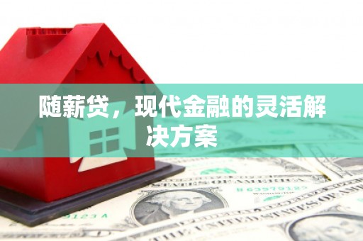 潍坊随薪贷，现代金融的灵活解决方案