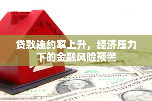 乐东贷款违约率上升，经济压力下的金融风险预警