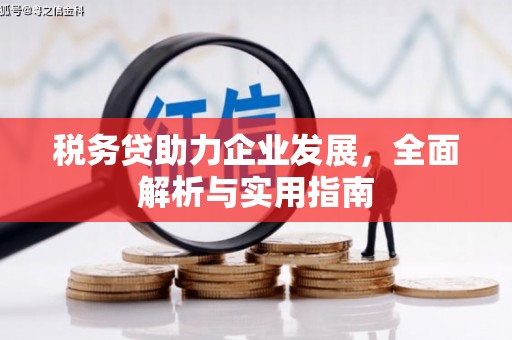 疏勒税务贷助力企业发展，全面解析与实用指南