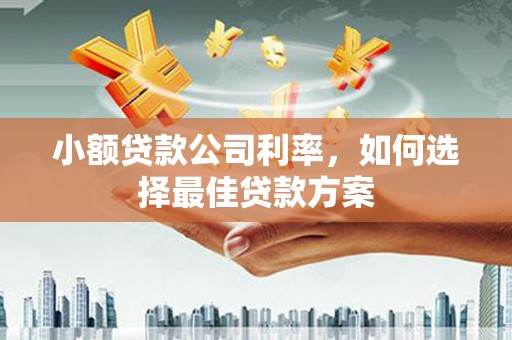 沿滩小额贷款公司利率，如何选择最佳贷款方案