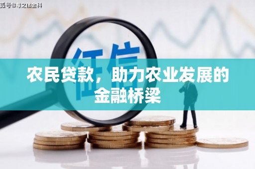 德保农民贷款，助力农业发展的金融桥梁