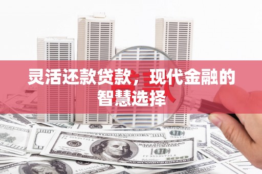 忻府灵活还款贷款，现代金融的智慧选择