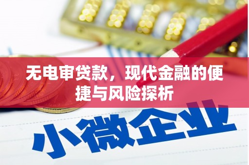 定海无电审贷款，现代金融的便捷与风险探析