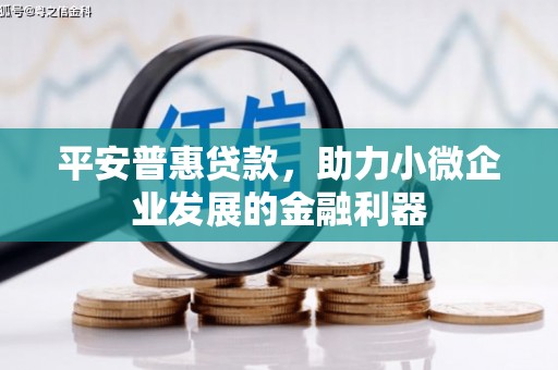 双河平安普惠贷款，助力小微企业发展的金融利器