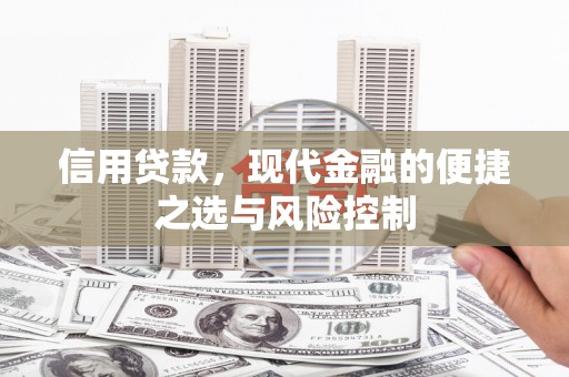 汐止信用贷款，现代金融的便捷之选与风险控制
