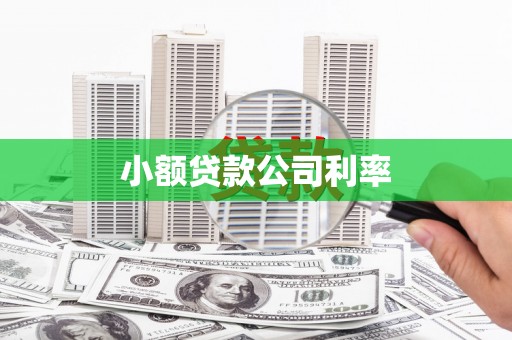 漳州小额贷款公司利率