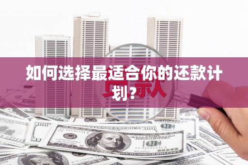 四湖如何选择最适合你的还款计划？