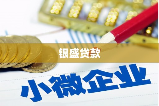容县银盛贷款