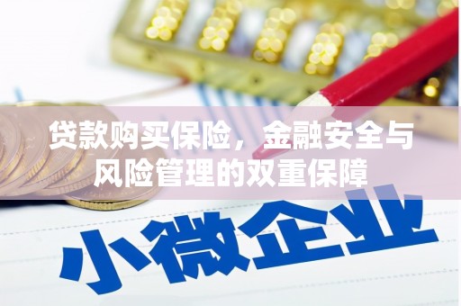西岗贷款购买保险，金融安全与风险管理的双重保障