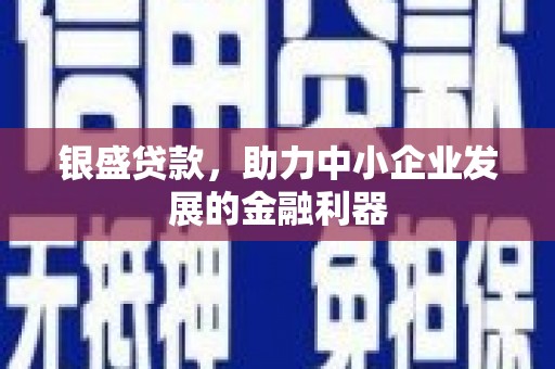 张家界银盛贷款，助力中小企业发展的金融利器
