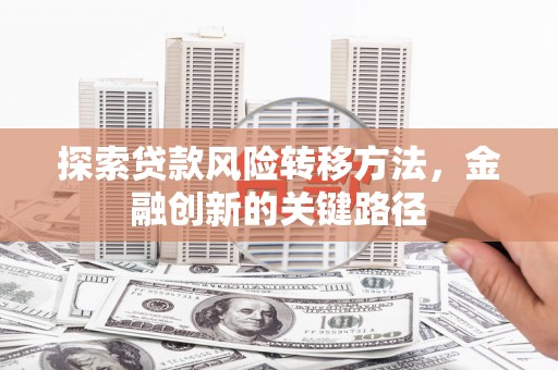阜康探索贷款风险转移方法，金融创新的关键路径