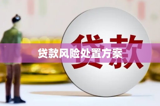 福州贷款风险处置方案