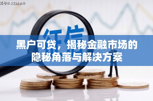 茂林黑户可贷，揭秘金融市场的隐秘角落与解决方案
