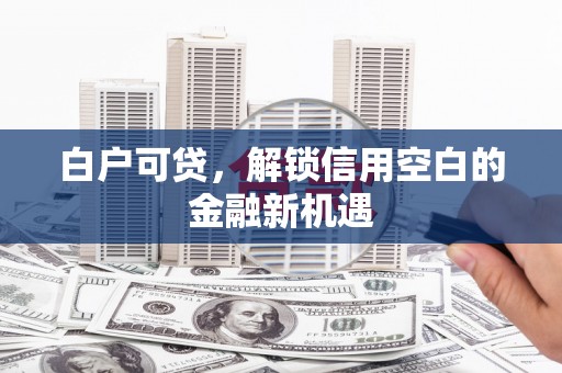 善化白户可贷，解锁信用空白的金融新机遇