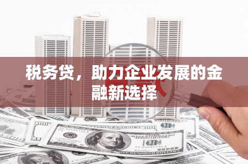 遂昌税务贷，助力企业发展的金融新选择