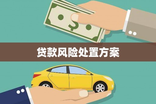 镜湖贷款风险处置方案