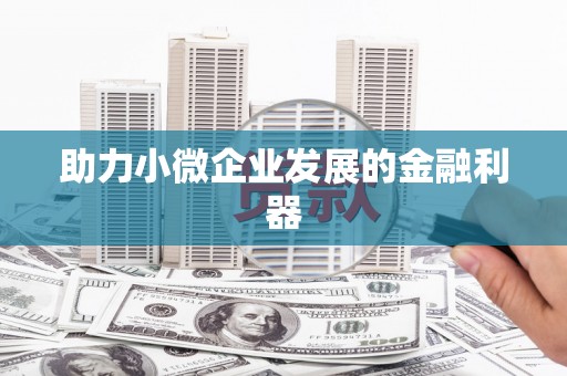 保亭助力小微企业发展的金融利器