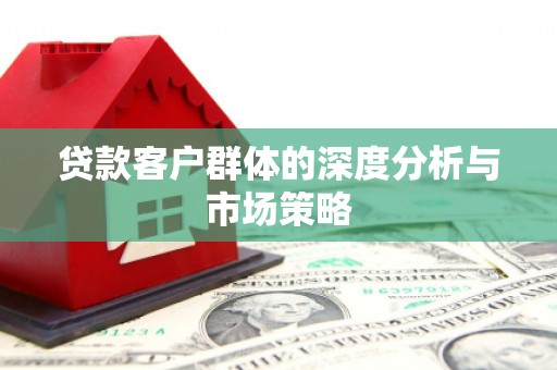 新洲贷款客户群体的深度分析与市场策略