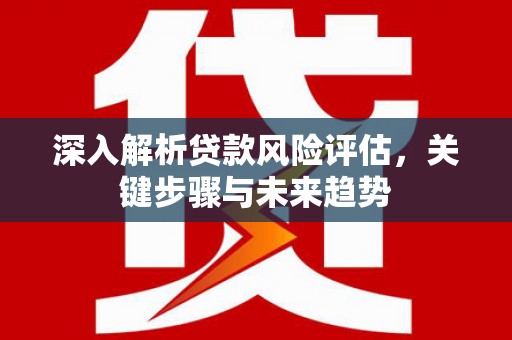 巴青深入解析贷款风险评估，关键步骤与未来趋势