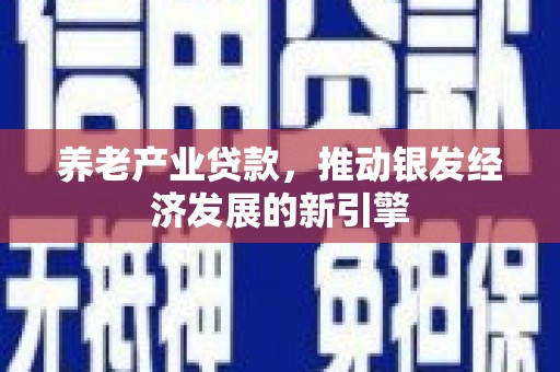长宁养老产业贷款，推动银发经济发展的新引擎