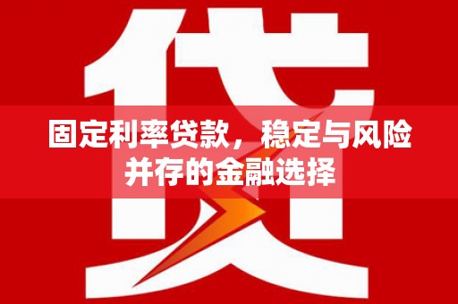 尼玛固定利率贷款，稳定与风险并存的金融选择