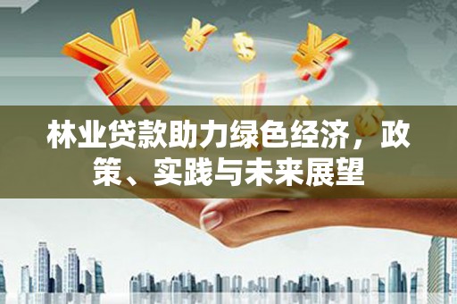 南丹林业贷款助力绿色经济，政策、实践与未来展望
