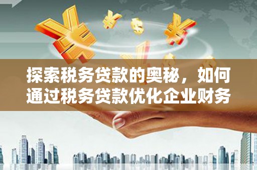 龙湾探索税务贷款的奥秘，如何通过税务贷款优化企业财务