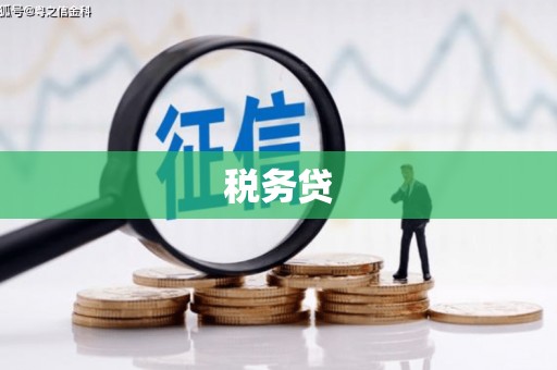 上杭税务贷
