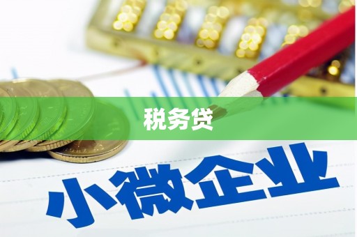天山税务贷