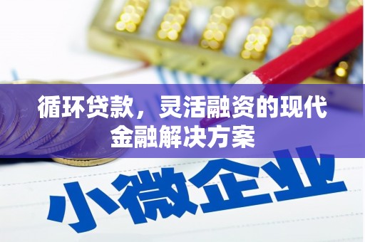 龙崎循环贷款，灵活融资的现代金融解决方案
