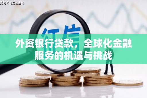 丰都外资银行贷款，全球化金融服务的机遇与挑战
