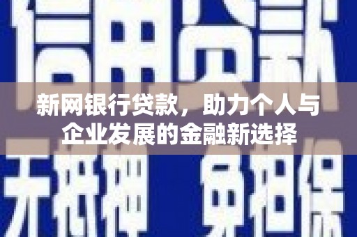 长岭新网银行贷款，助力个人与企业发展的金融新选择