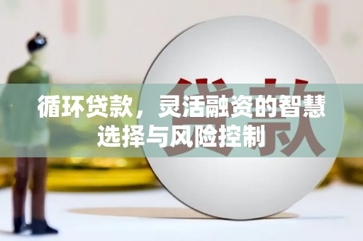 镇原循环贷款，灵活融资的智慧选择与风险控制