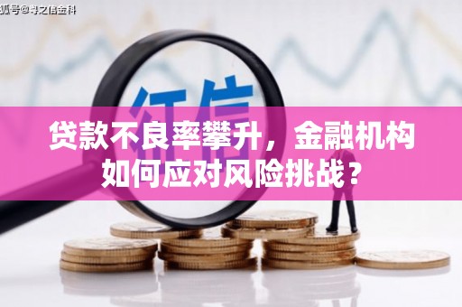 索县贷款不良率攀升，金融机构如何应对风险挑战？