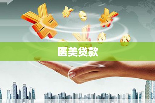泰兴医美贷款