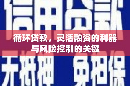 白碱滩循环贷款，灵活融资的利器与风险控制的关键