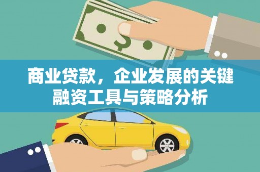 龙泉驿商业贷款，企业发展的关键融资工具与策略分析
