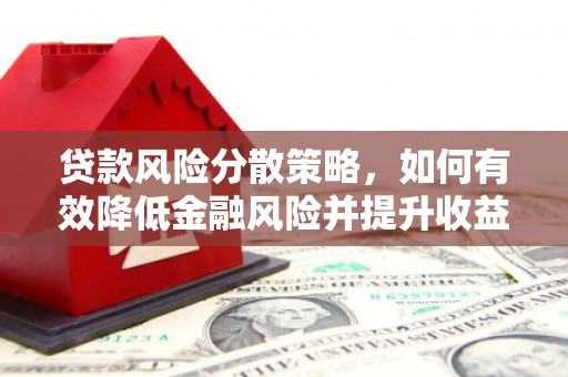元朗贷款风险分散策略，如何有效降低金融风险并提升收益