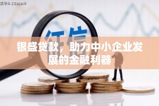 宝塔银盛贷款，助力中小企业发展的金融利器